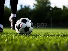 瓜迪奥拉透,罗德里伤停,利兹一役,万博manbetx体育平台,万博体育官网,万博体育app下载,ManBetX,SPORTS