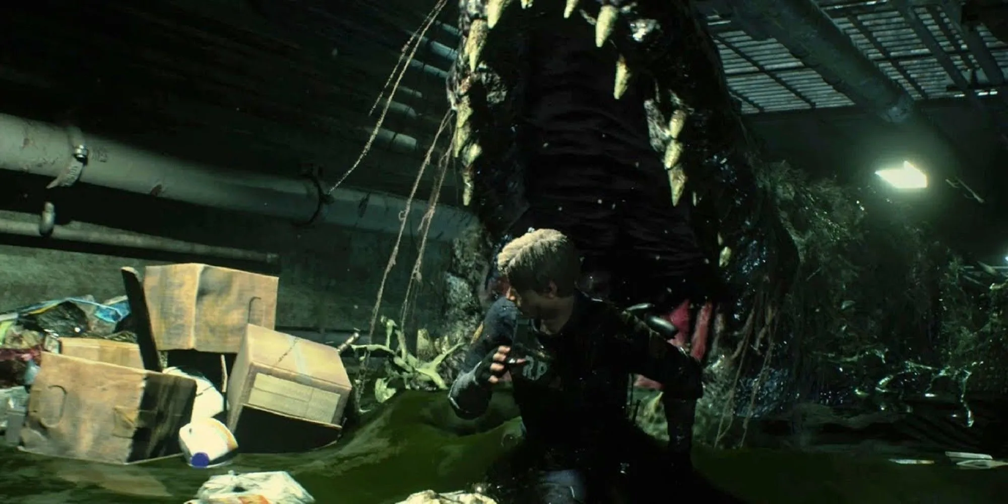 布阿迪加盟,红军,里尔中场风,万博manbetx体育平台,万博体育官网,万博体育app下载,ManBetX,SPORTS